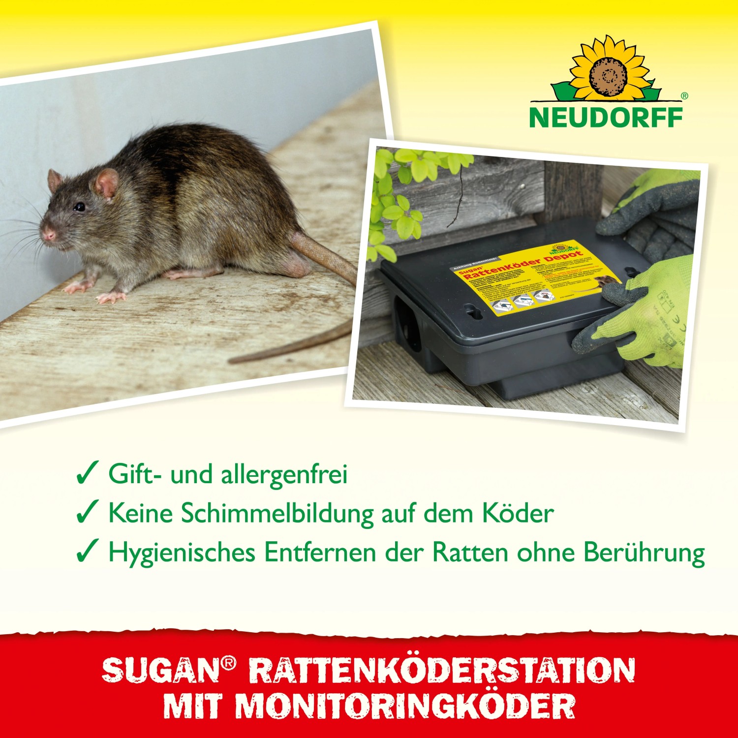 Neudorff Ratten-Köderstation Sugan mit Ratte und Köderdepot, sichere und hygienische Rattenbekämpfung.