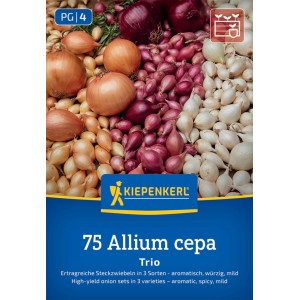 Kiepenkerl Steckzwiebeltrio