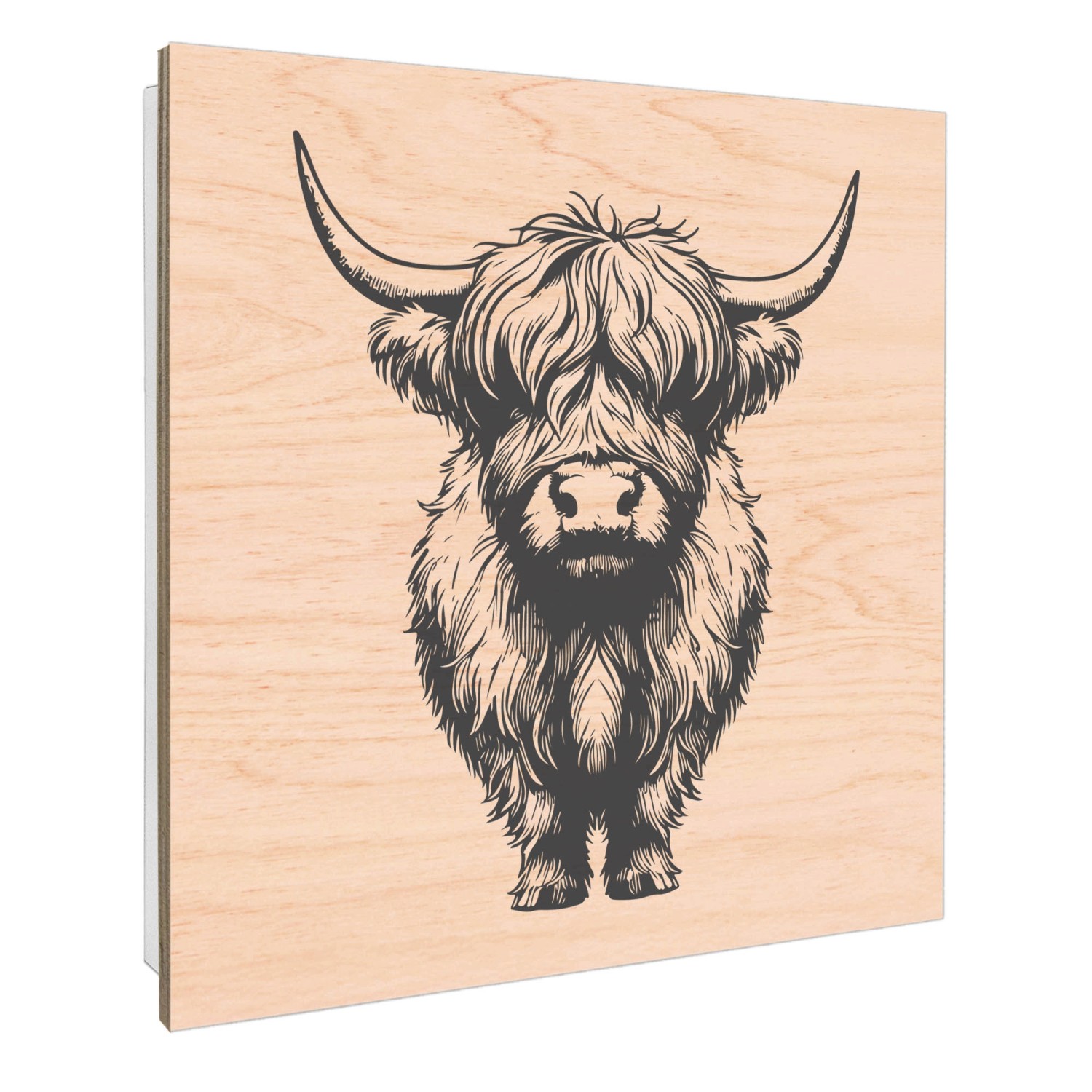 Weißer Banjado Schlüsselkasten mit Hochlandrind-Motiv, 30x30cm, 50 Haken für Schlüssel.