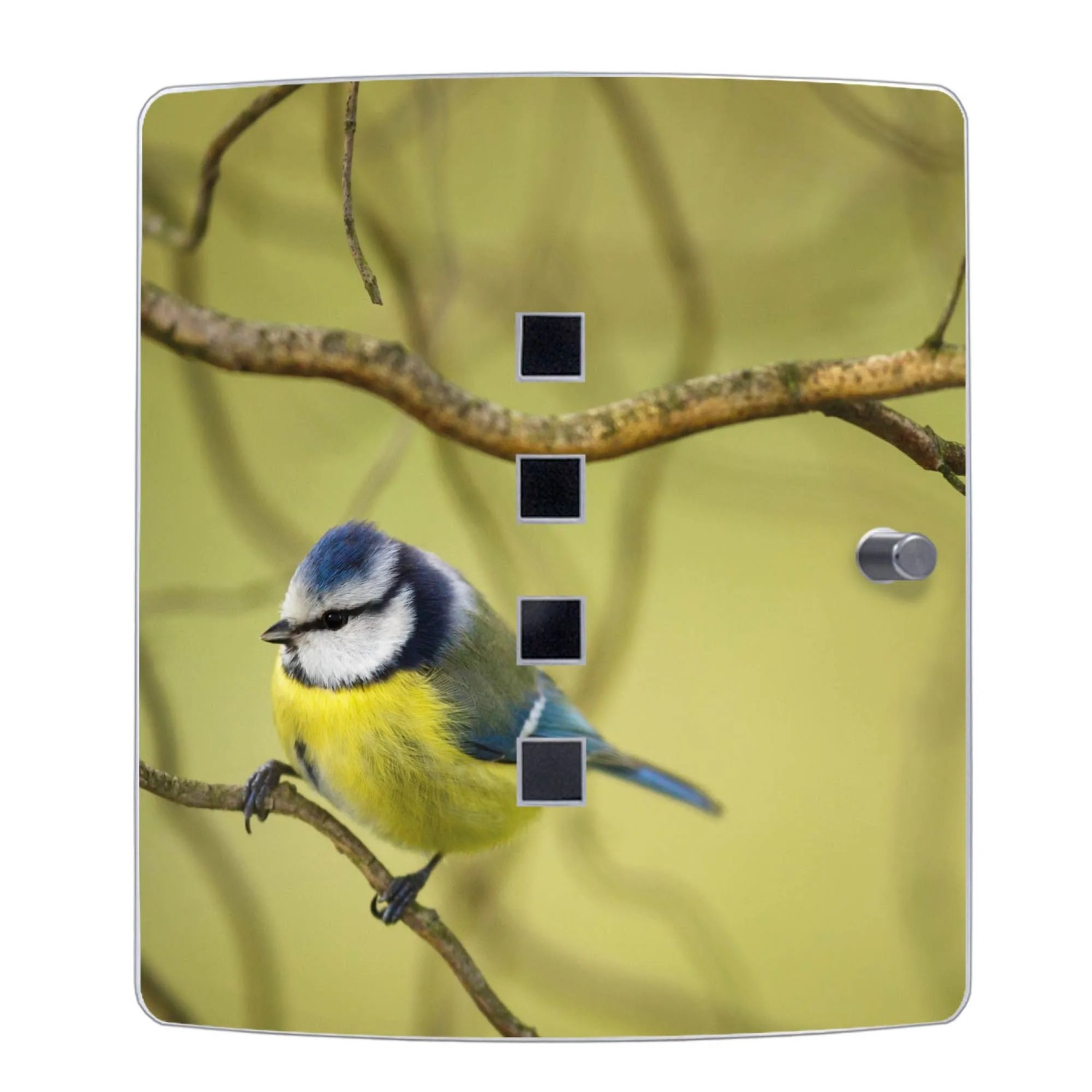 Banjado Design Schlüsselkasten Aus Edelstahl Für 10 Schlüssel 24x21,5x7cm Mit Magnetverschluss Motiv Blaumeise Im Baum_6