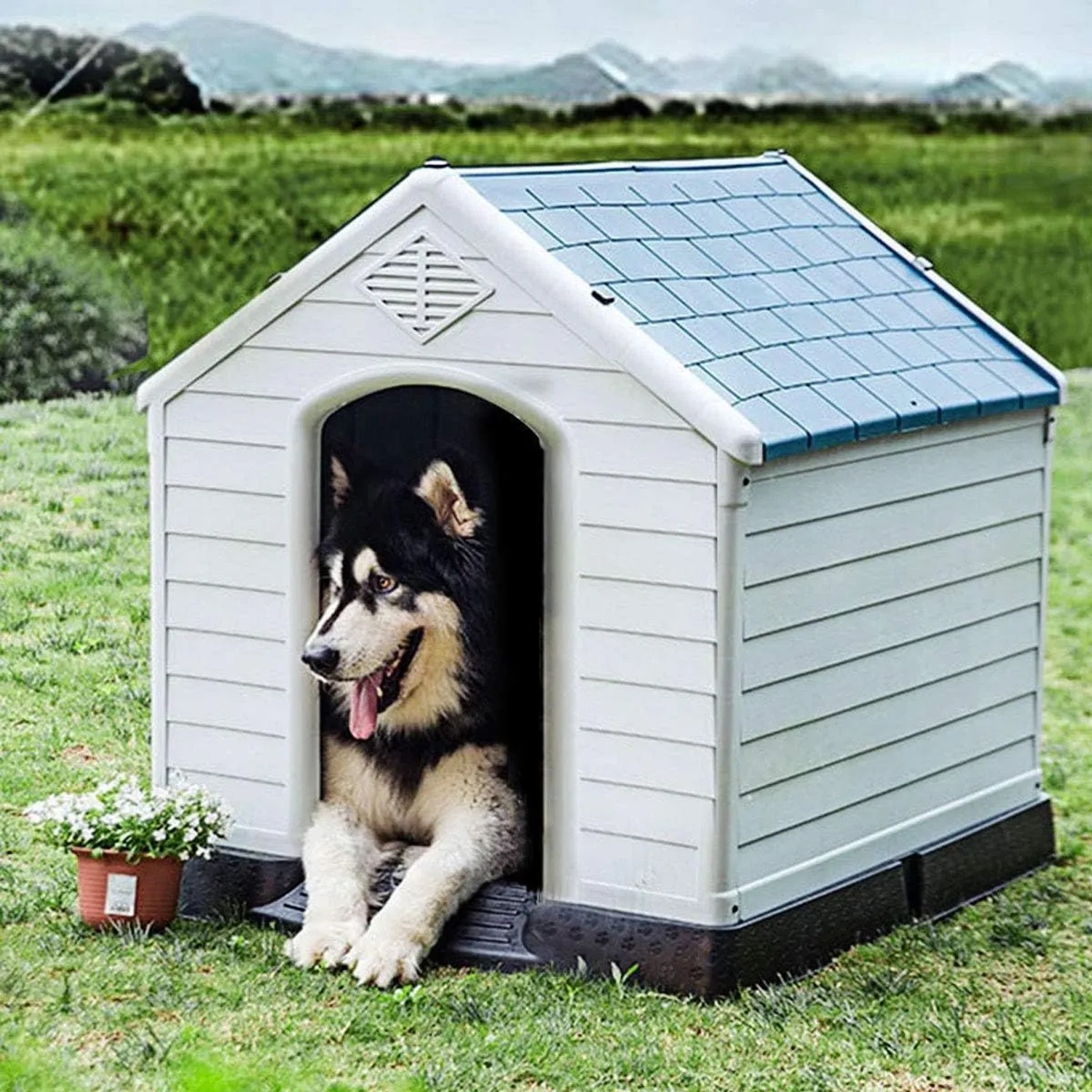 Costway Hundehütte Hundehaus Blau & Weiß 70 x 65 x 71.5 cm_2