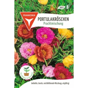 FRANKONIA Portulakröschen Prachtmischung
