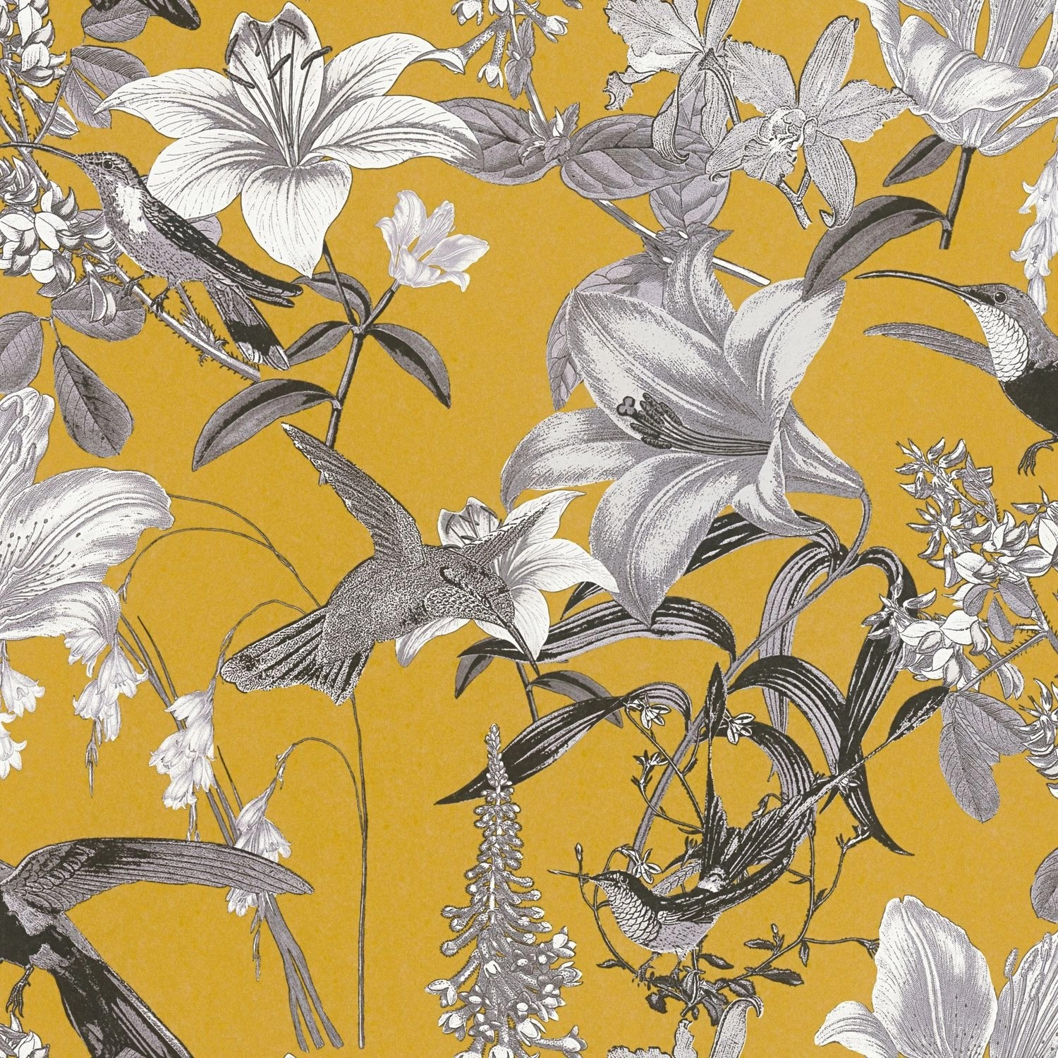 PROFHOME 377013-GU Blumen Tapete Kolibri Matt Gelb Grau Schwarz 0,53 m x 10 günstig online kaufen