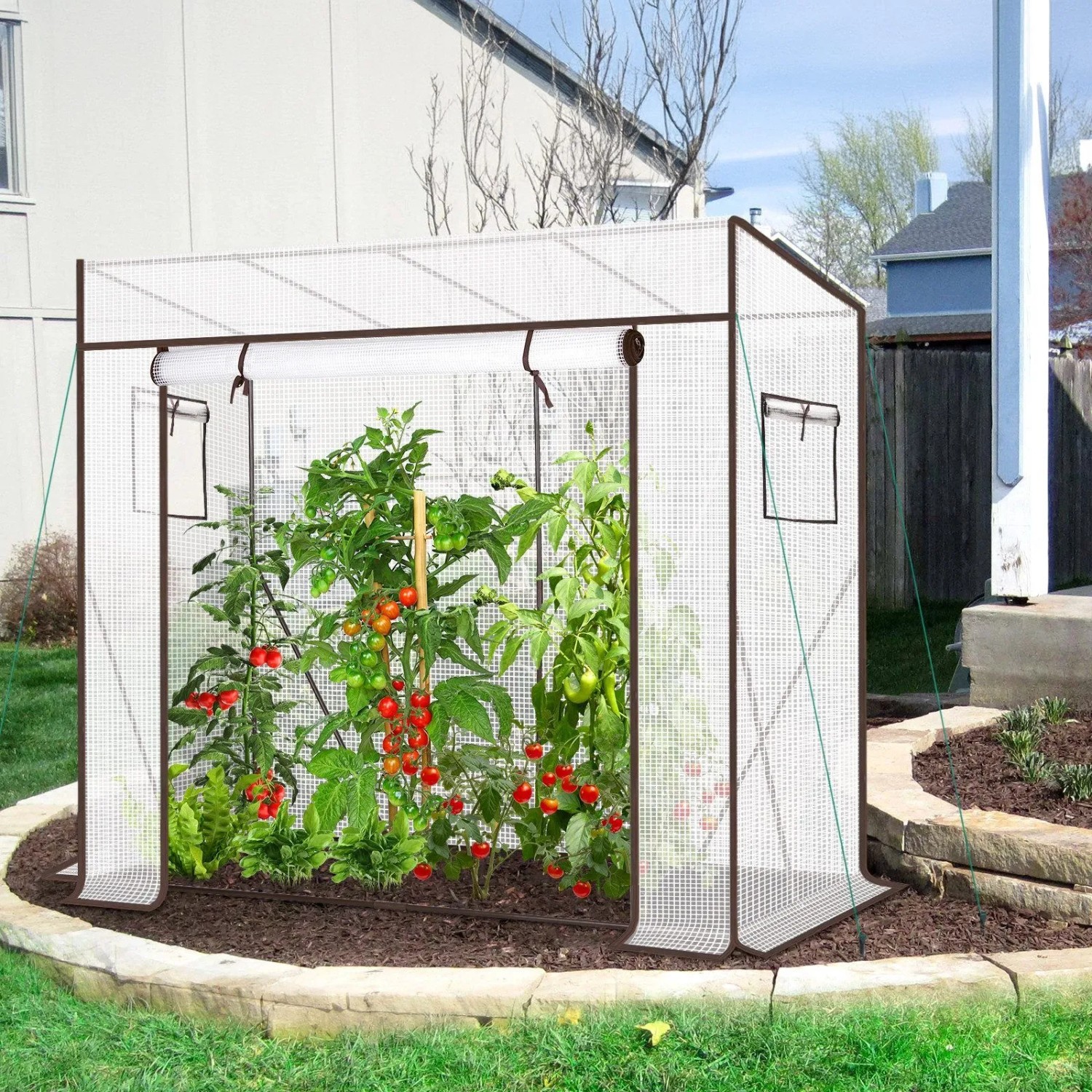 Weißes Foliengewächshaus mit Schrägdach und braunem Rahmen im Garten. Tomatenpflanzen wachsen darin. Begehbares Pflanzenhaus.