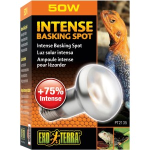 Exo Terra Intense Basking Spot 50W Wärmelampe für Reptilien-Terrarien.