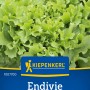 Kiepenkerl Endivie 'Escariol grüner': Frischer, grüner Salat mit gezackten Blättern.