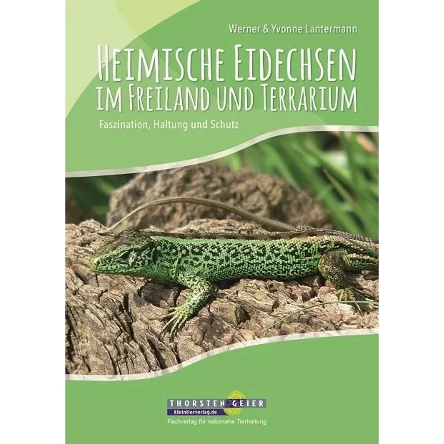 Heimische Eidechsen im Freiland und Terrarium