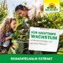 Neudorff Schachtelhalm Extrakt: Mutter und Tochter im Garten, gesunde Pflanzen.