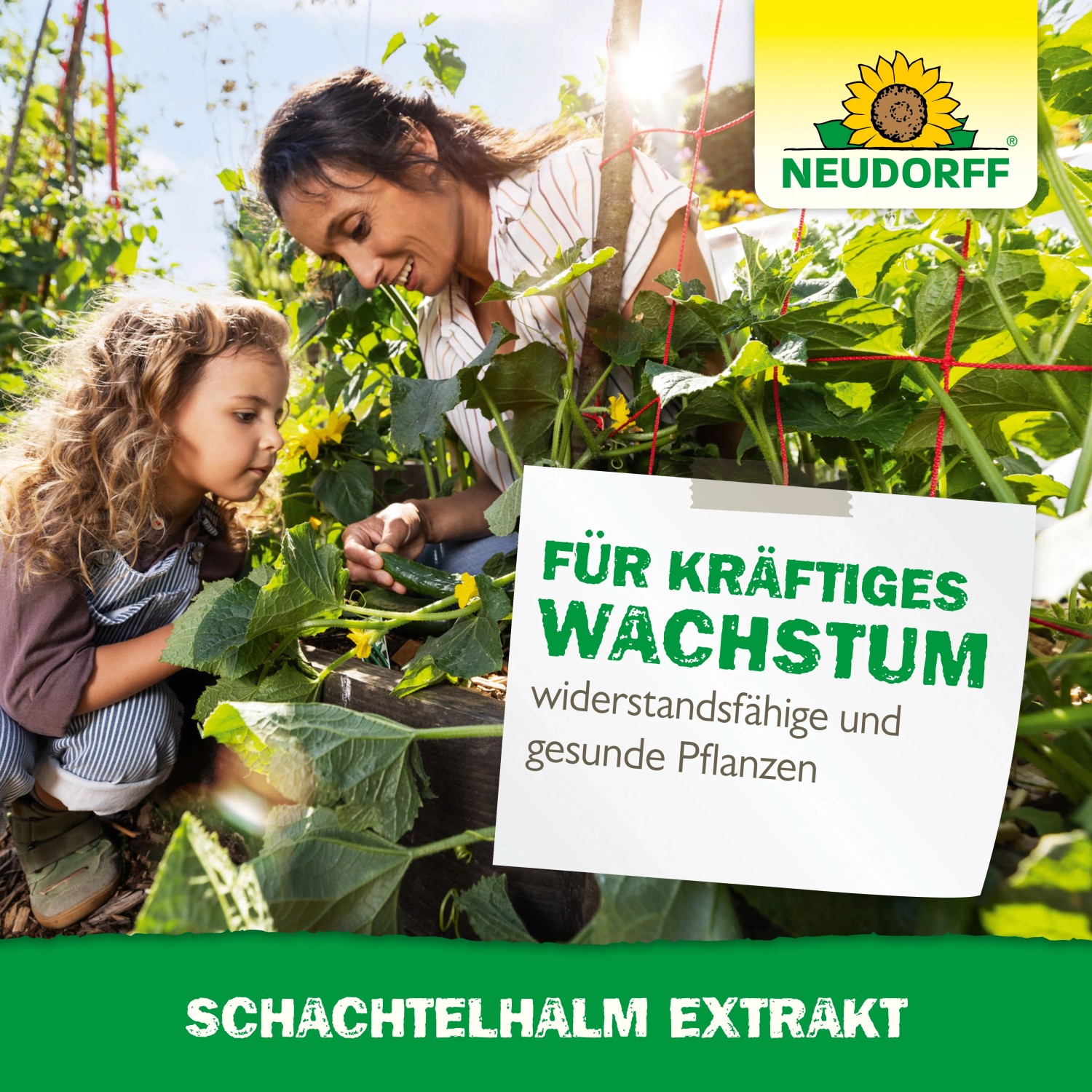 Neudorff Schachtelhalm Extrakt: Mutter und Tochter im Garten, gesunde Pflanzen.