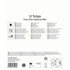 Kiepenkerl Blumenzwiebeln: 12 lilienblütige Tulpen Tres Chic Mix. Weiße Packung mit Symbolen für Sonne, Kübel, Schnittblumen.