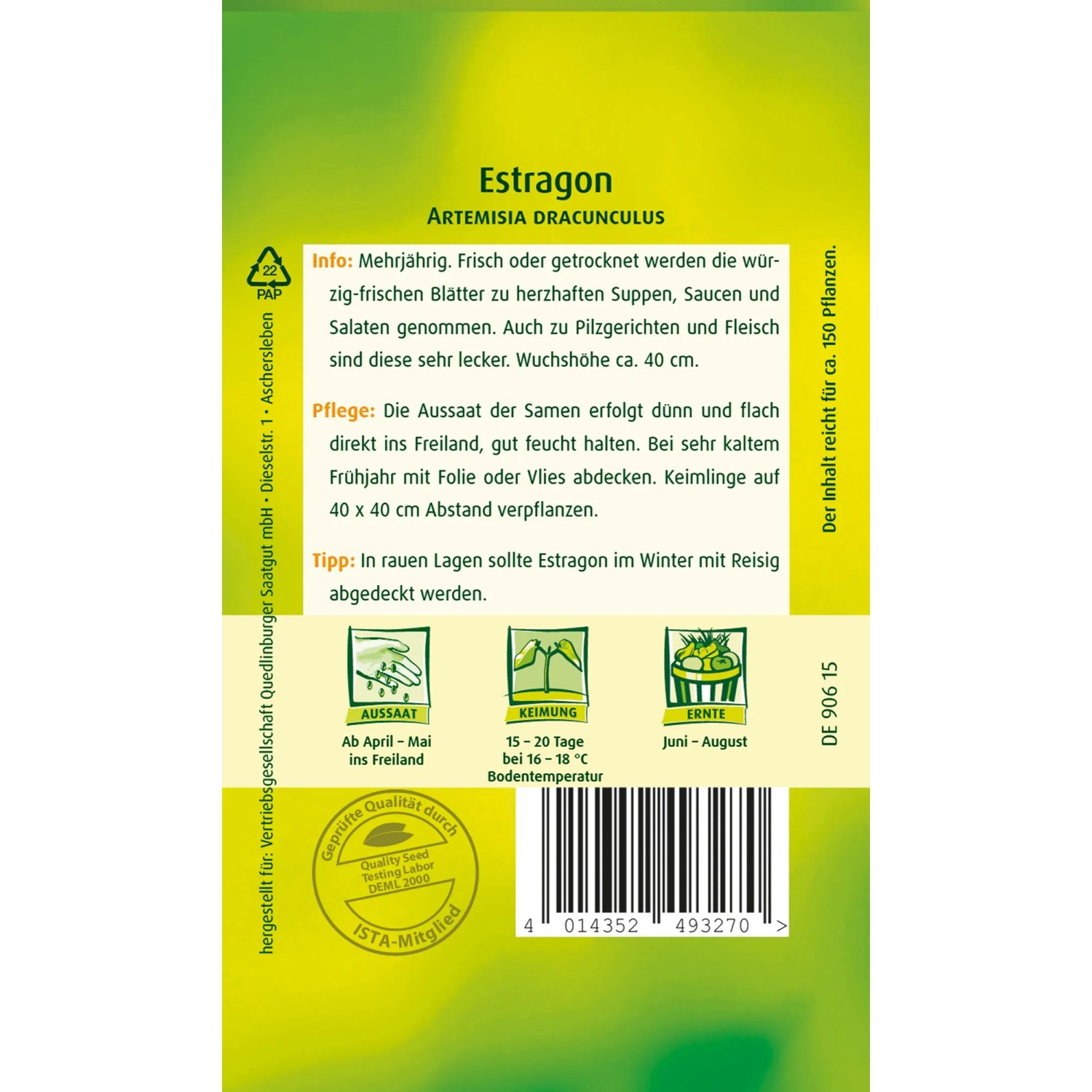 Quedlinburger Estragon Samenpackung für mehrjährige, aromatische Kräuter.