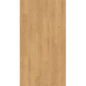 Parador Vinylboden Basic 2.0 Eiche Infinity Natur, helle Holzoptik für Wohn- und Gewerberäume.