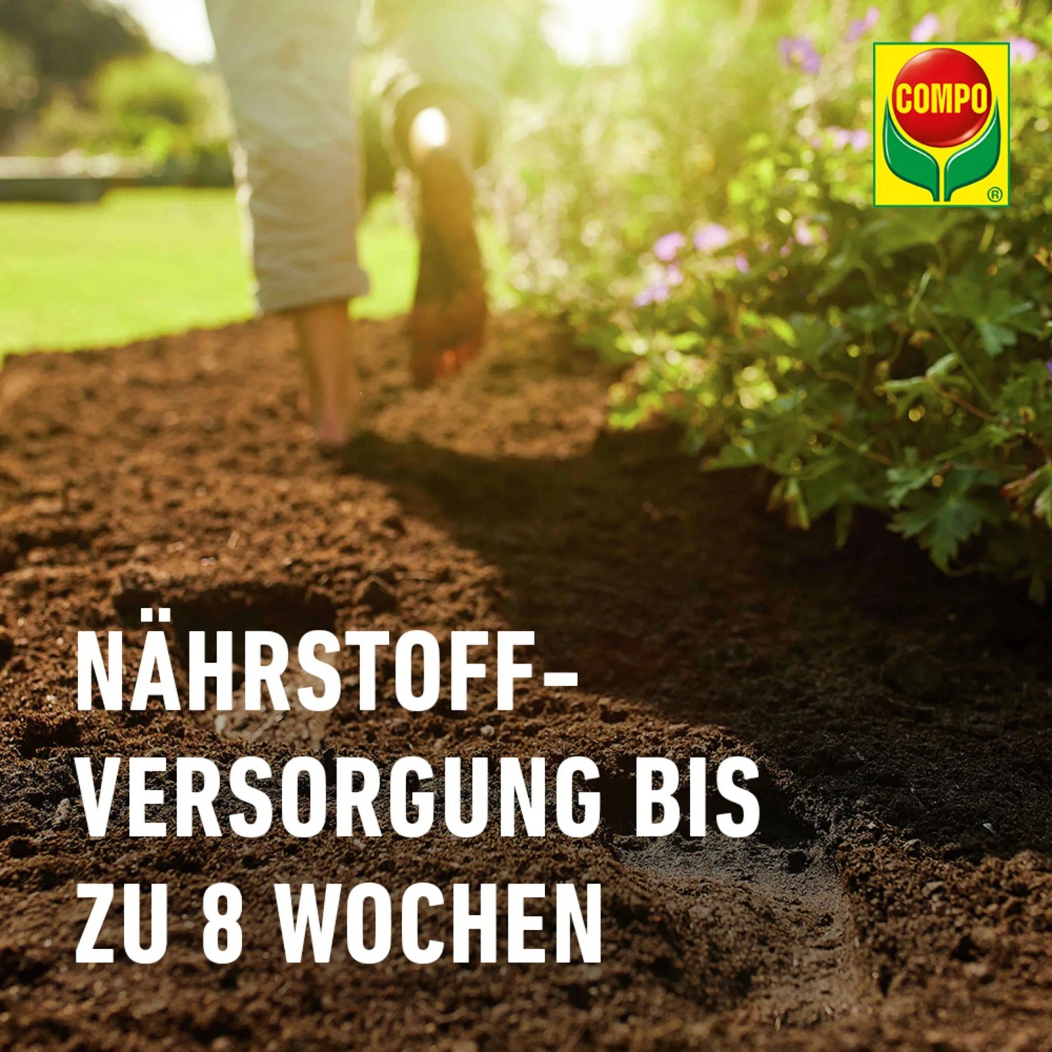 Compo Sana Rhododendronerde 1 x 20 l_10