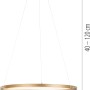 Paul Neuhaus LED-Pendelleuchte Titus, 60 cm, Messing matt, dimmbar.