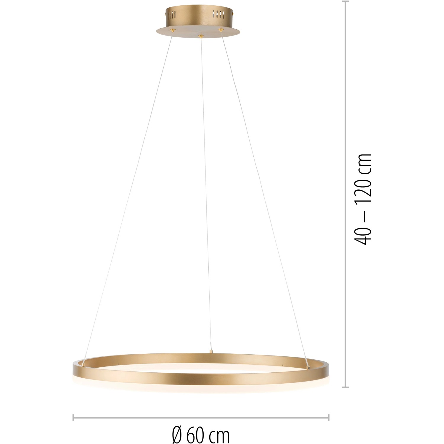 Paul Neuhaus LED-Pendelleuchte Titus, 60 cm, Messing matt, dimmbar.