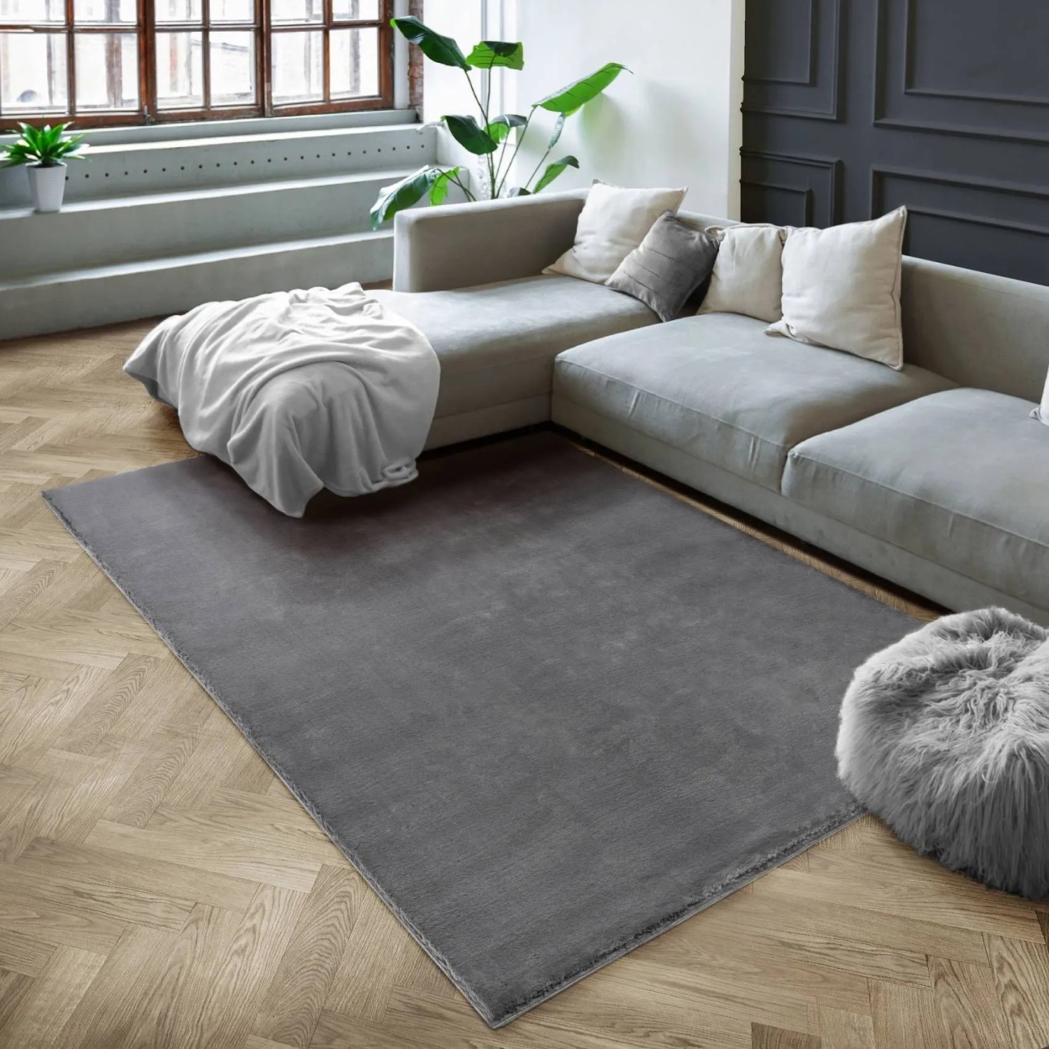 Grauer Floornovo Kurzflor Teppich (200x140 cm) im Wohnzimmer.
