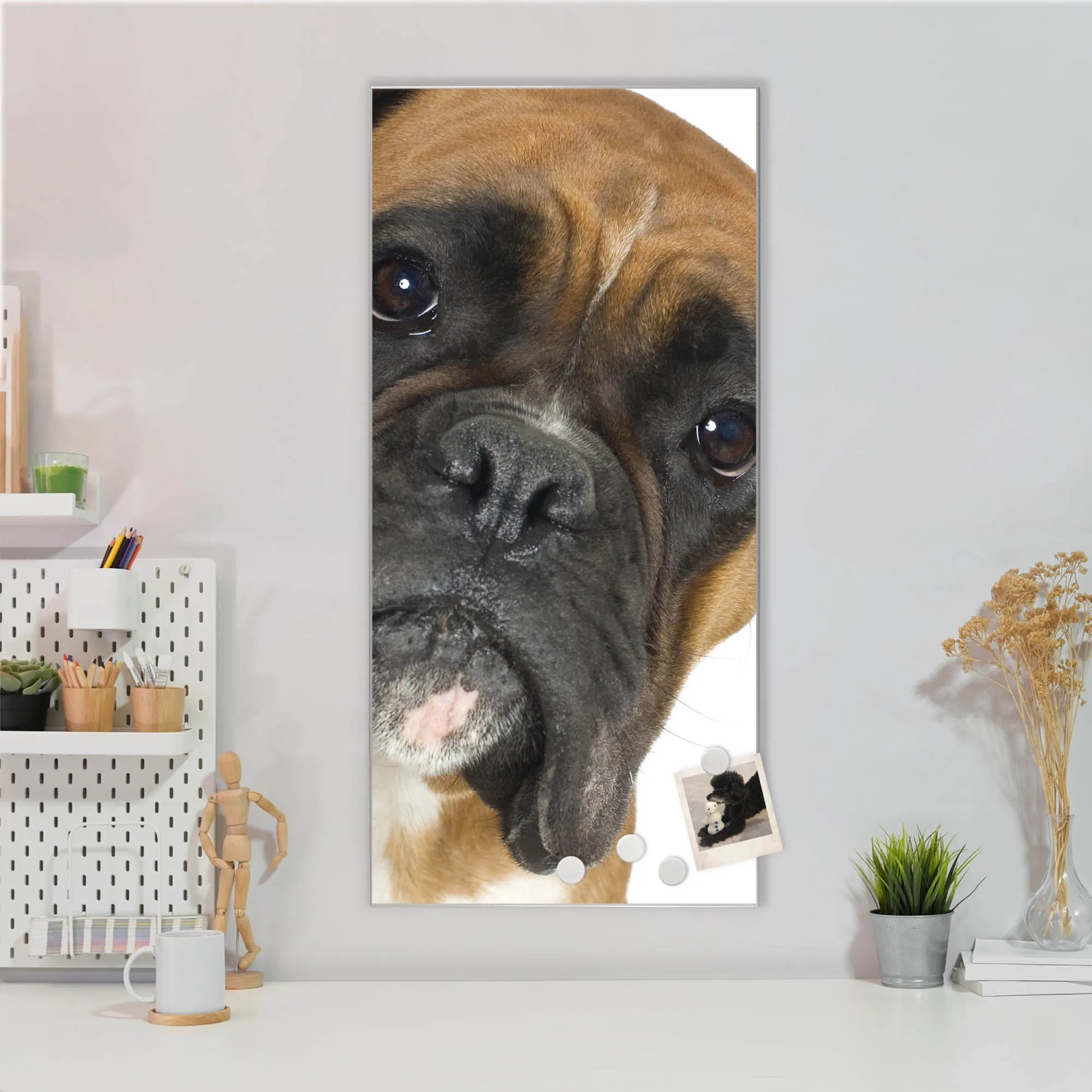 Banjado Magnettafel mit Boxer-Motiv, 37x78cm, silberne Magnetwand für Notizen und Fotos.