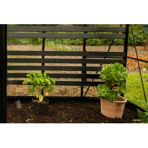 Halls Klappbarer Lamellentisch für Icon Gardenhouse 8, schwarz, mit Pflanzen im Gewächshaus.