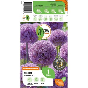 Verpackung GROW by OBI Zierlauch Globemaster, purpurfarbene Allium Blumenzwiebel, 80cm hoch.