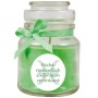 HS Candle Duftkerze Sternzeichen Fische im Glas mit Schleife, Coconut Limes Duft.