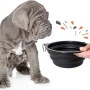 Petsation faltbarer Reisenapf (2000 ml) für Hunde, schwarz. Ideal für unterwegs.