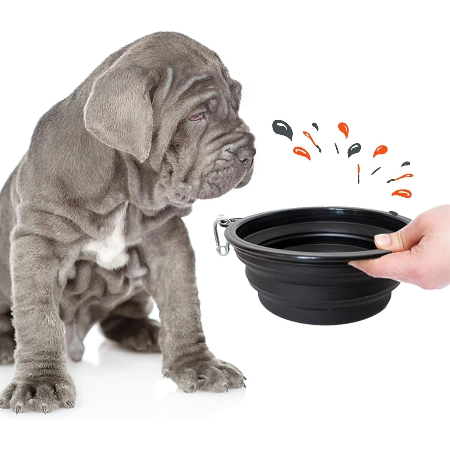Petsation faltbarer Reisenapf (2000 ml) für Hunde, schwarz. Ideal für unterwegs.