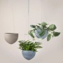 Scheurich Hängeampeln (Ø 18 cm) in Grau und Beige mit Pflanzen, aufgehängt.
