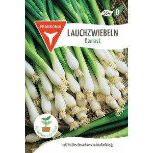 FRANKONIA Lauchzwiebel Damast