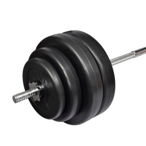 vidaXL Langhantel mit Gewichten Set 60 kg 90372