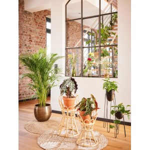 Runder Jute Teppich in Natur-Beige (Ø 100 cm) im Wohnzimmer mit Pflanzen.