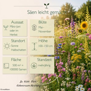 Bunte LaCaTho Wildblumenmischung für Halbschatten, mit Infos zu Aussaat, Blütezeit, Höhe und mehrjähriger Standzeit.