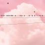 Komar Vlies Fototapete Cloud Wire Panel: Rosa Himmel mit Wolken und Vögeln auf einer Leitung.