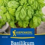 Kiepenkerl Basilikum Napolitana Kräutersamen mit großen, grünen Blättern.