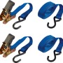 Zweiteiliges Zurrgurt-Set mit Ratsche, 2,5 cm x 500 cm, blau, für sicheren Transport von Ladung.