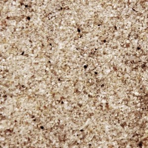 Nahaufnahme von Terralith Pflasterfugenmörtel Extrem, körnige Textur in Natur Dunkel für Fugen.