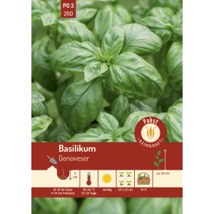 Pabst Keimkraft Basilikum Genoveser Saatgut mit grünen Blättern.