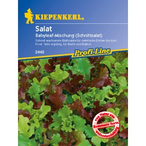 Kiepenkerl Pflücksalat Babyleaf Mischung, eine bunte Salatmischung für Beet und Balkon.