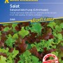 Kiepenkerl Pflücksalat Babyleaf Mischung, eine bunte Salatmischung für Beet und Balkon.