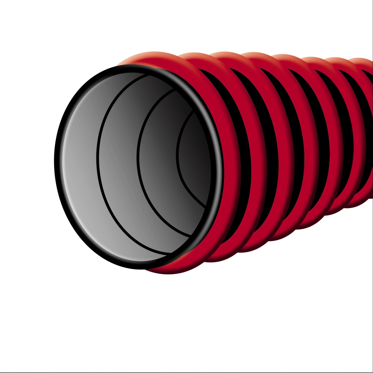 Einhell Nass-Trockensauger TE-VC 2025 SACL kaufen bei OBI