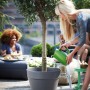 Anthrazitfarbener Elho Untersetzer Loft urban, Ø 14 cm, unter einem Topf mit Baum, der von einer Frau gegossen wird.