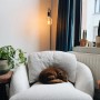 Moderne schwarze Stehlampe Facil von QAZQA, 145cm hoch, mit warmem Licht und Katze auf Sessel.