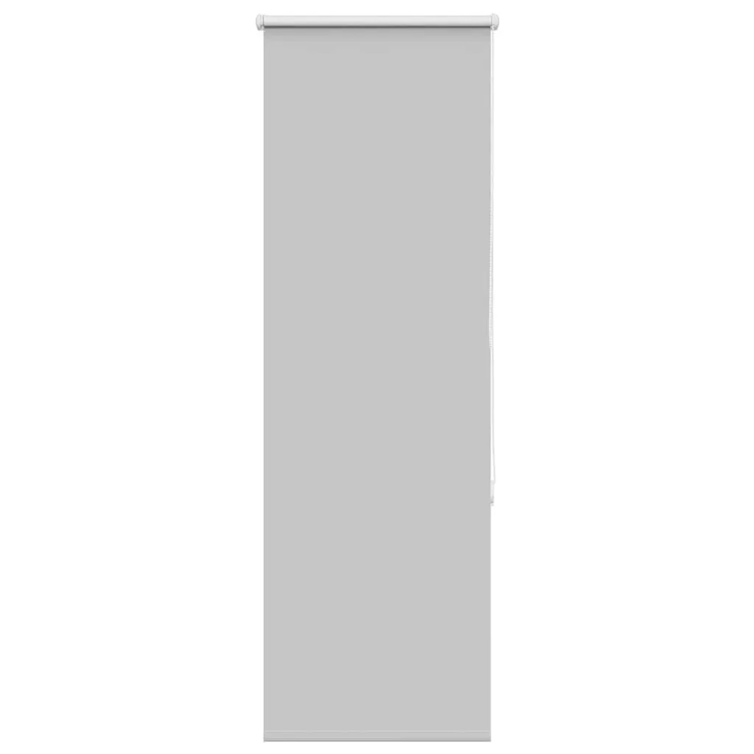 vidaXL Verdunkelungsrollo Hellgrau 45x130 cm Stoffbreite 40,7 cm 4011351