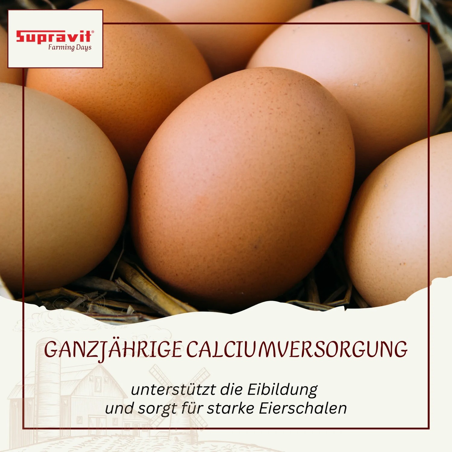 Supravit Kalkgrit für Hühner Futterkalk Ergänzungsfutter_4