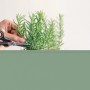 Herstera Garden Hochbeet Urban kaktusgrün: Hand schneidet Kräuter im Beet.