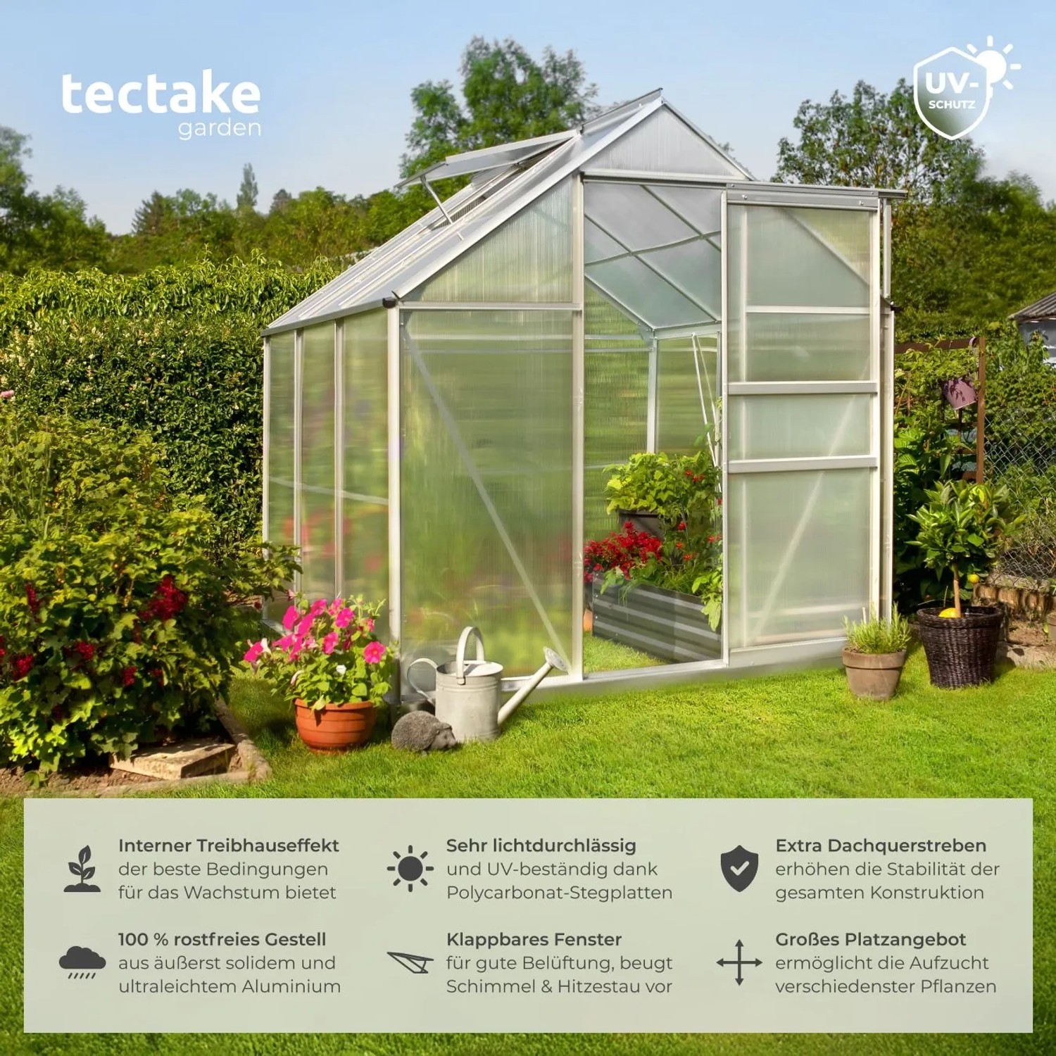 Tectake Gewächshaus mit silbernem Aluminiumrahmen, transparenten Hohlkammerplatten, offener Tür und Dachfenster im grünen Garten.