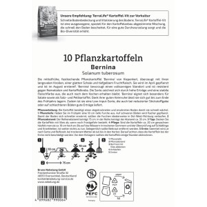 Kiepenkerl Pflanzkartoffel Bernina, 10 St