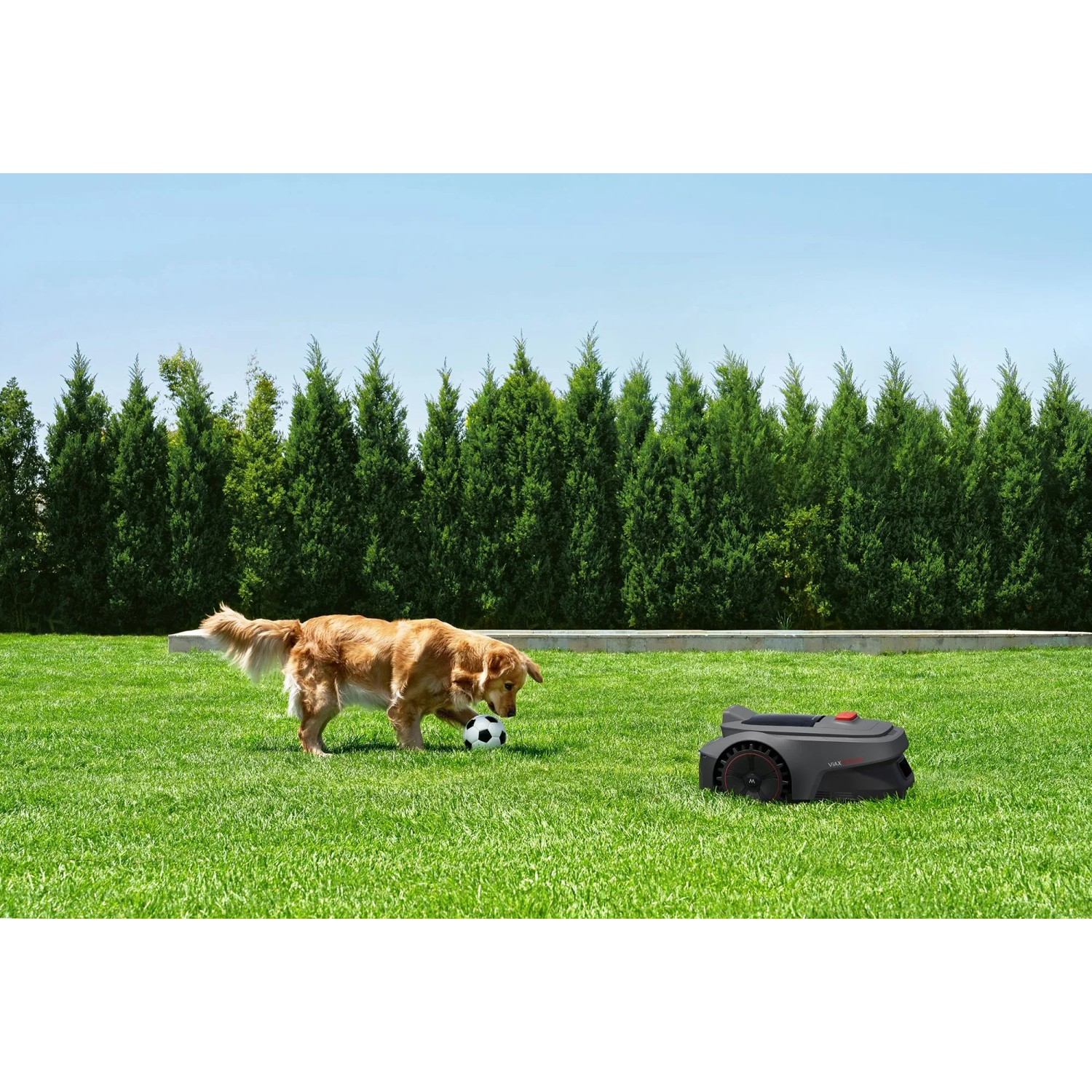 Mova Mähroboter ViAX 300 Schwarz_12