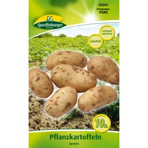 Quedlinburger Pflanzkartoffeln Spunta, vorwiegend festkochend, gelbschalig.