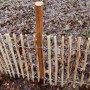 Haselnuss-Zaunpfosten, 1,5 m, Durchmesser 6-9 cm, für Staketenzaun. Naturprodukt für Zäune & Mauern.