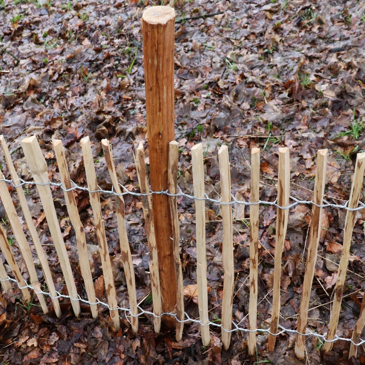 Haselnuss-Zaunpfosten, 1,5 m, Durchmesser 6-9 cm, für Staketenzaun. Naturprodukt für Zäune & Mauern.